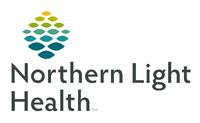 Northern Light Health Logo